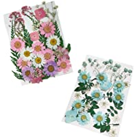 2 Piezas Flores Prensadas-Material de Flores Secas-Flores Secas Naturales Orgánicas Mezcladas-para Joyería de Resina…